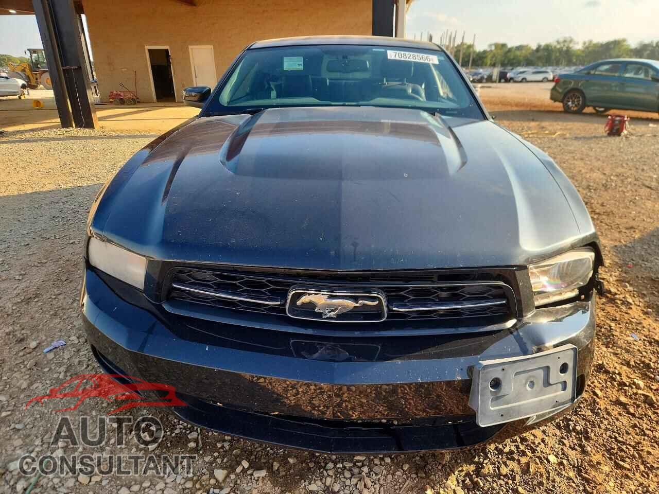 FORD MUSTANG 2010 - 1ZVBP8AN3A5114895