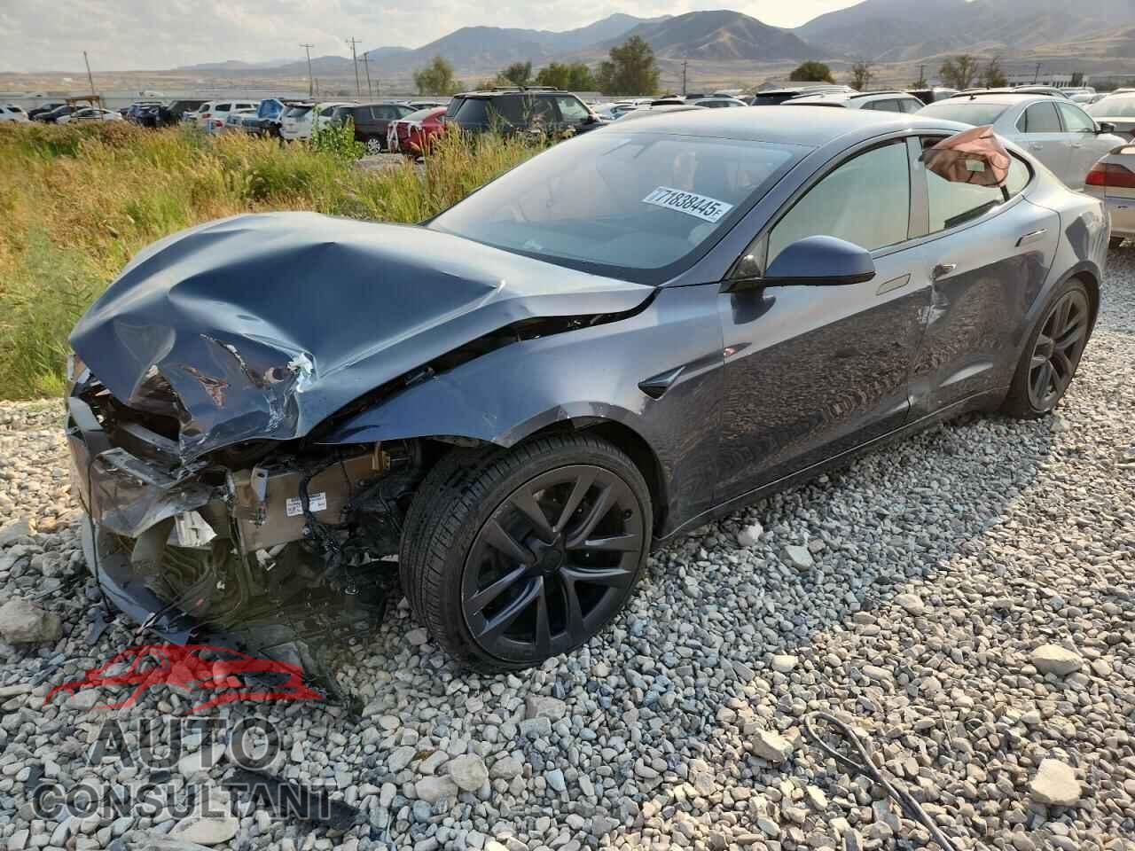 TESLA MODEL S 2021 - 5YJSA1E53MF433657