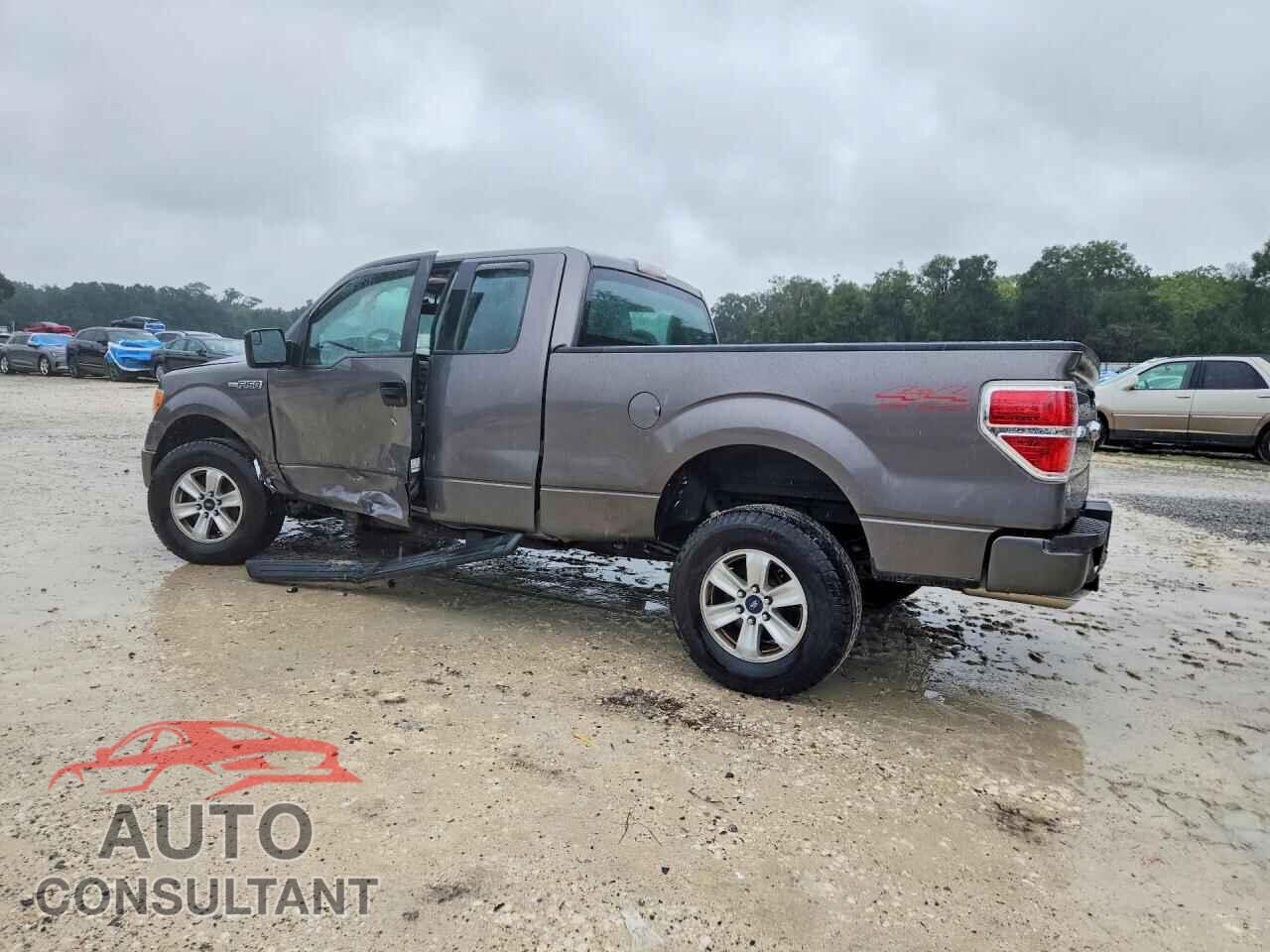 FORD F150 2014 - 1FTFX1EF2EFB75248