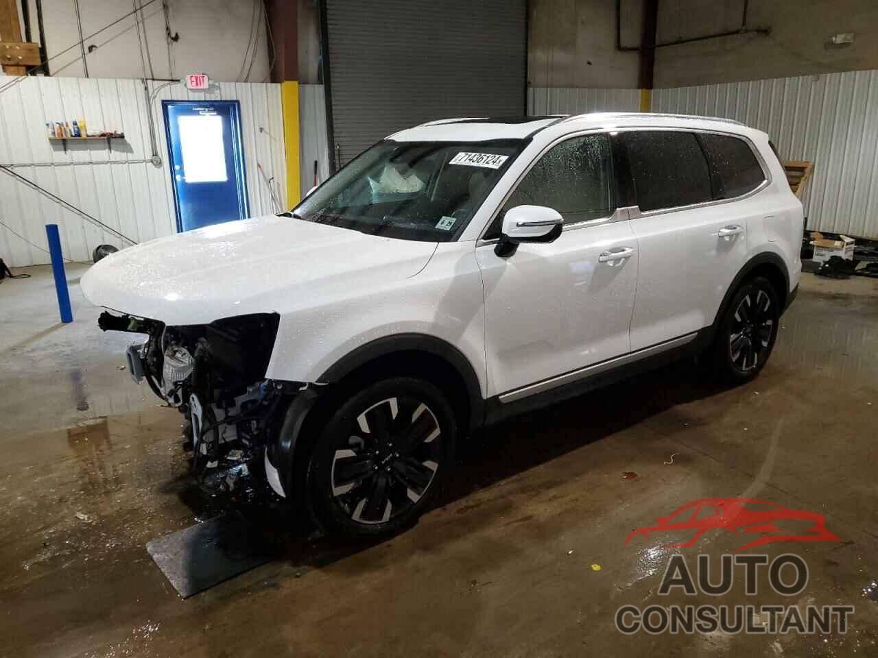 KIA TELLURIDE 2024 - 5XYP5DGC4RG476640