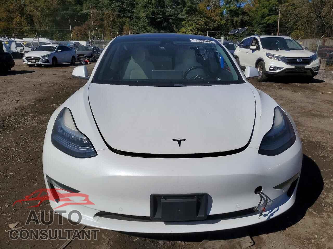 TESLA MODEL 3 2019 - 5YJ3E1EA3KF407613