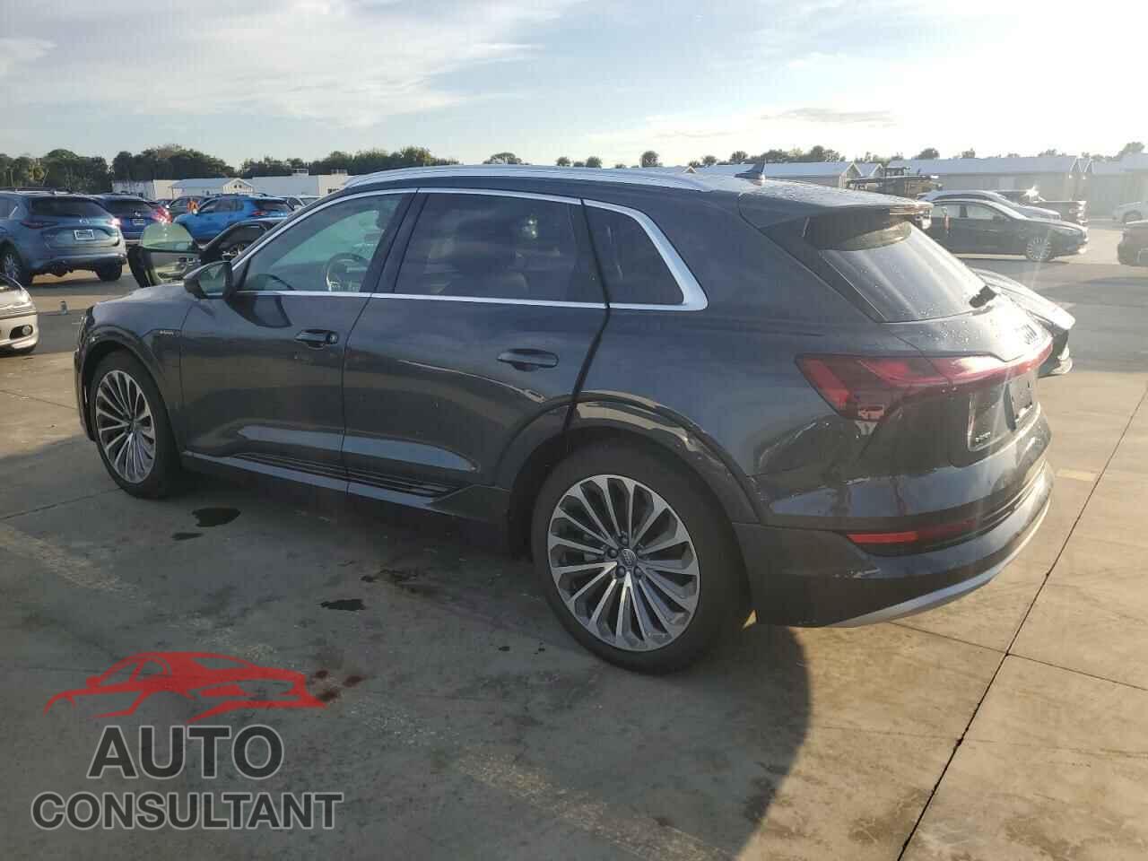 AUDI E-TRON 2019 - WA1VAAGEXKB022552