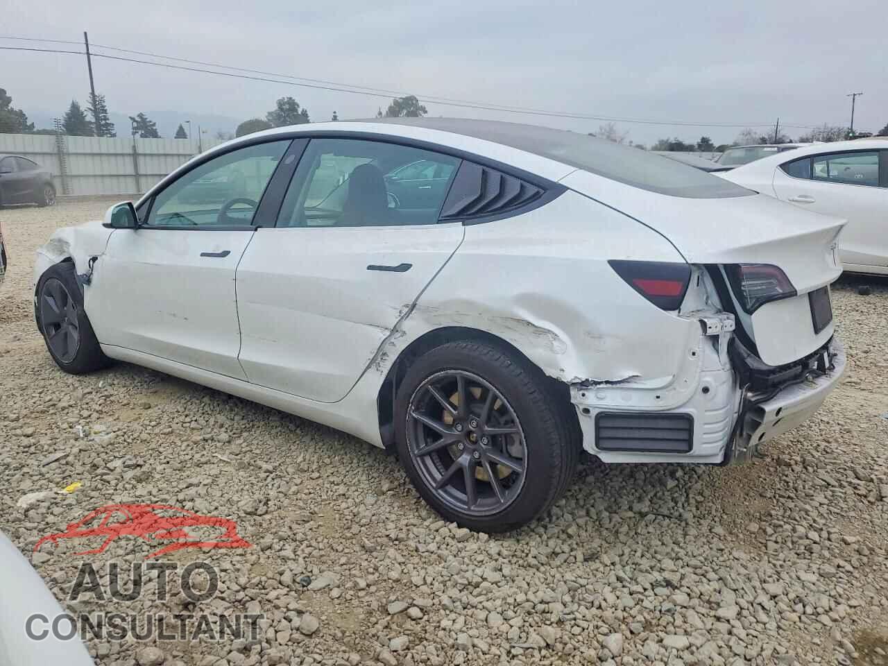 TESLA MODEL 3 2021 - 5YJ3E1EA3MF059122