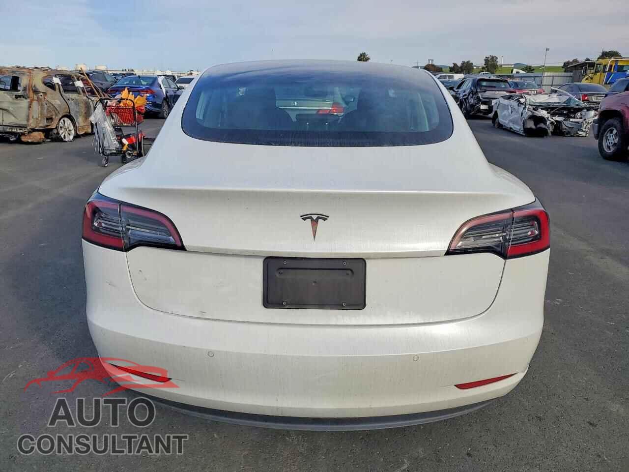 TESLA MODEL 3 2020 - 5YJ3E1EA4LF807553