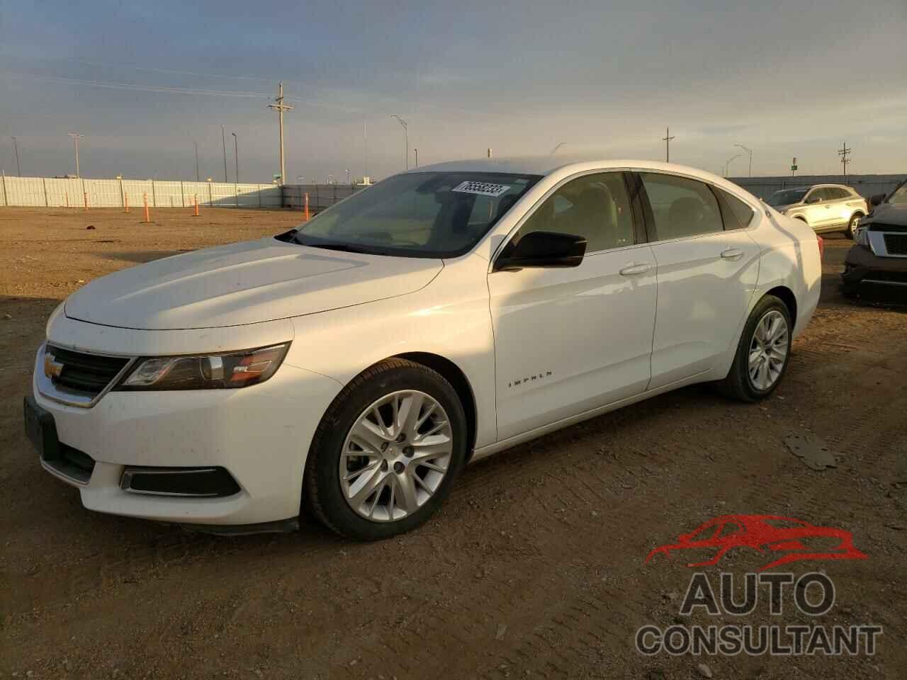 CHEVROLET IMPALA 2019 - 1G11X5S35KU143602