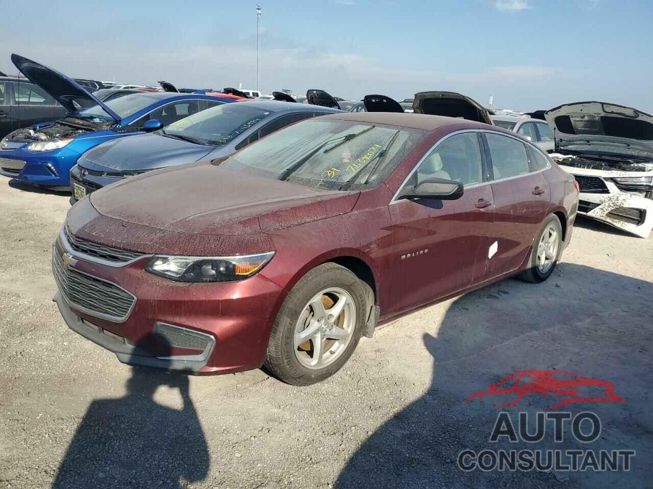 CHEVROLET MALIBU 2016 - 1G1ZB5ST7GF175013