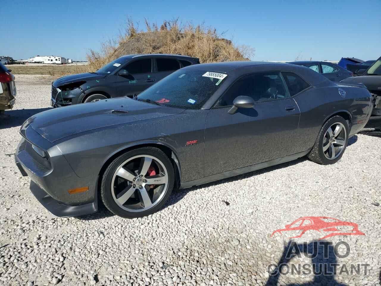 DODGE CHALLENGER 2012 - 2C3CDYCJ2CH224850