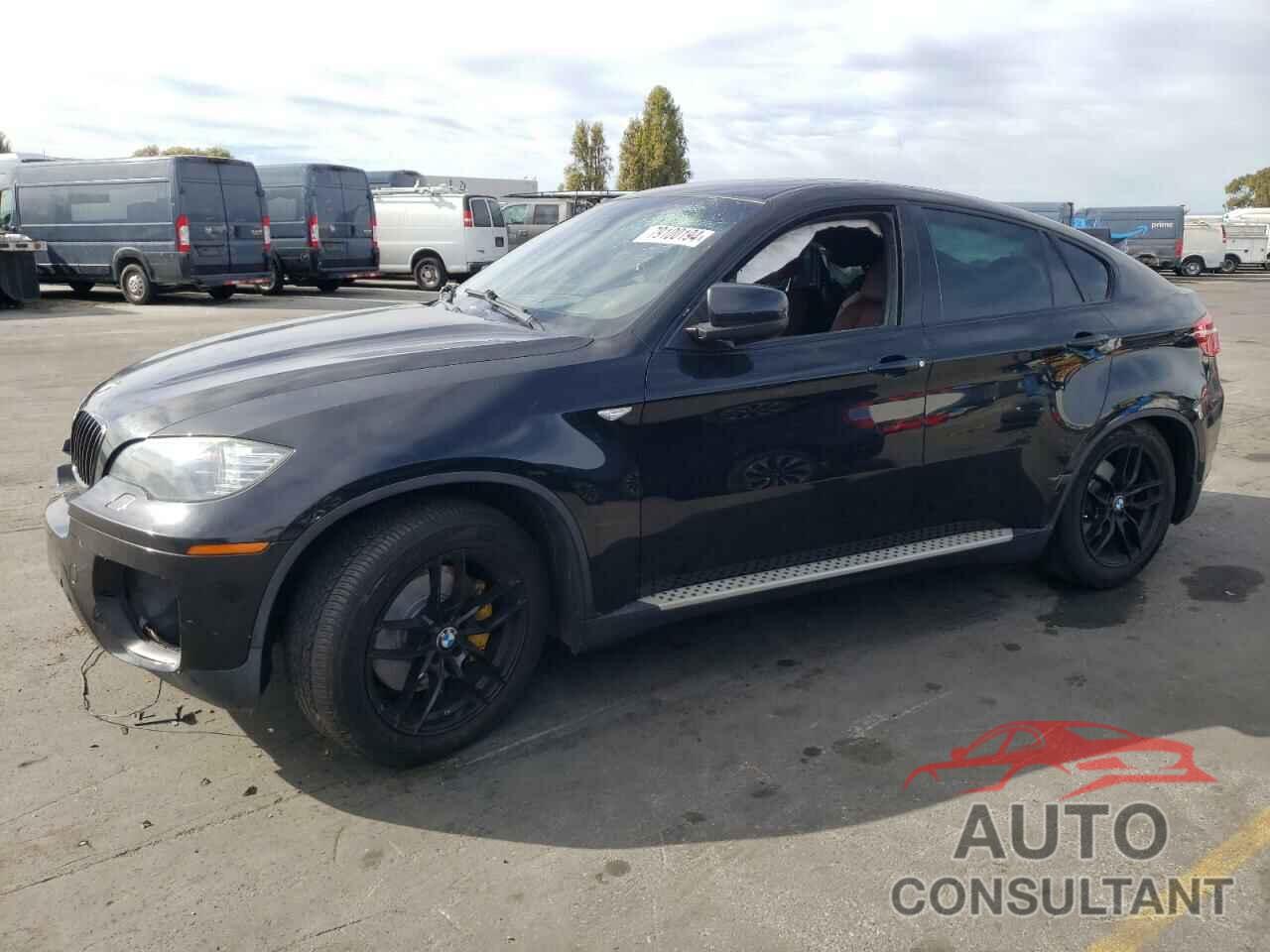 BMW X6 2011 - 5UXFG8C52BLZ95196