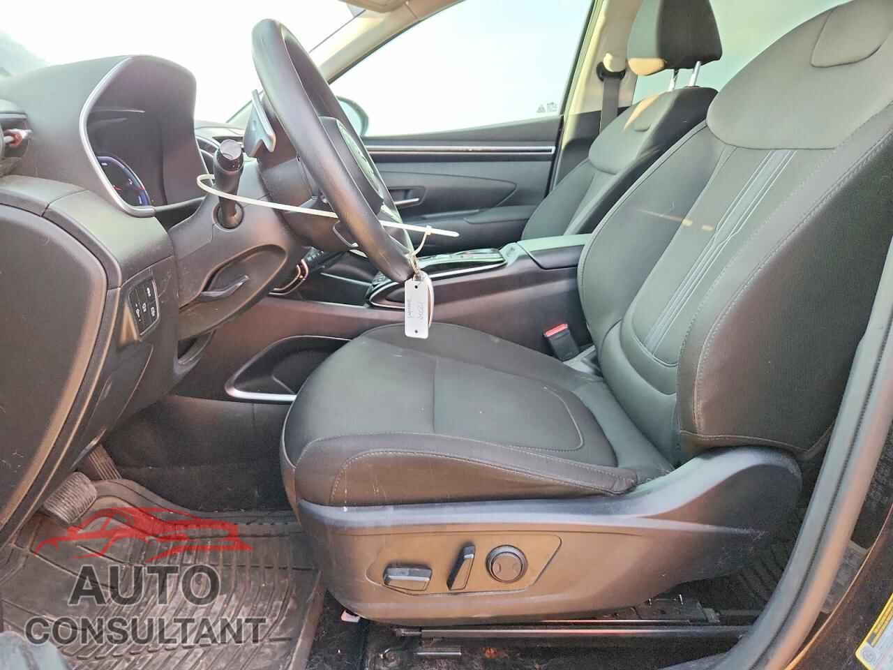 HYUNDAI TUCSON 2024 - KM8JBCD13RU195550