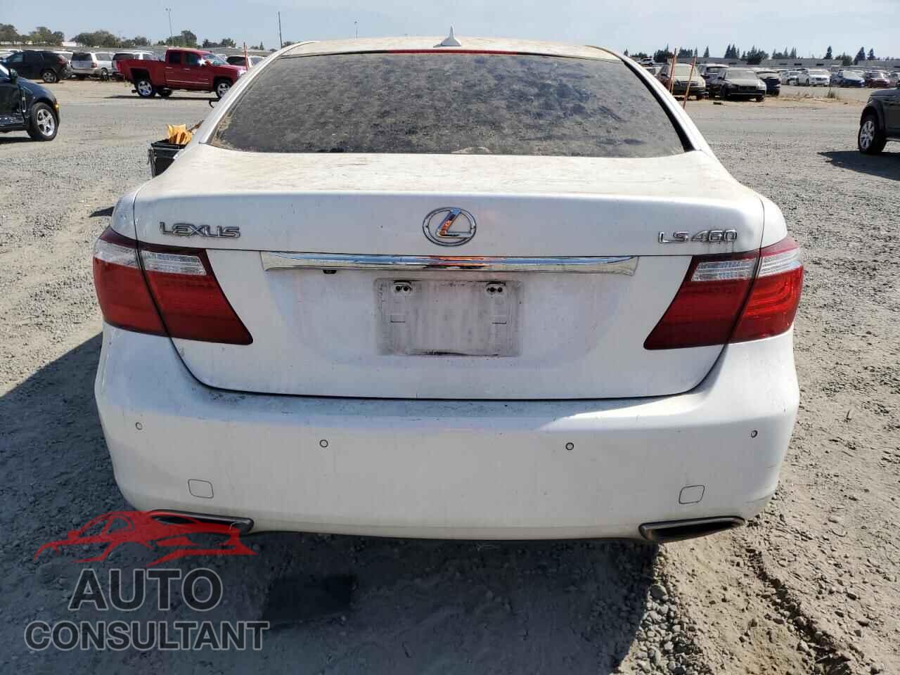 LEXUS LS460 2009 - JTHBL46F095087948