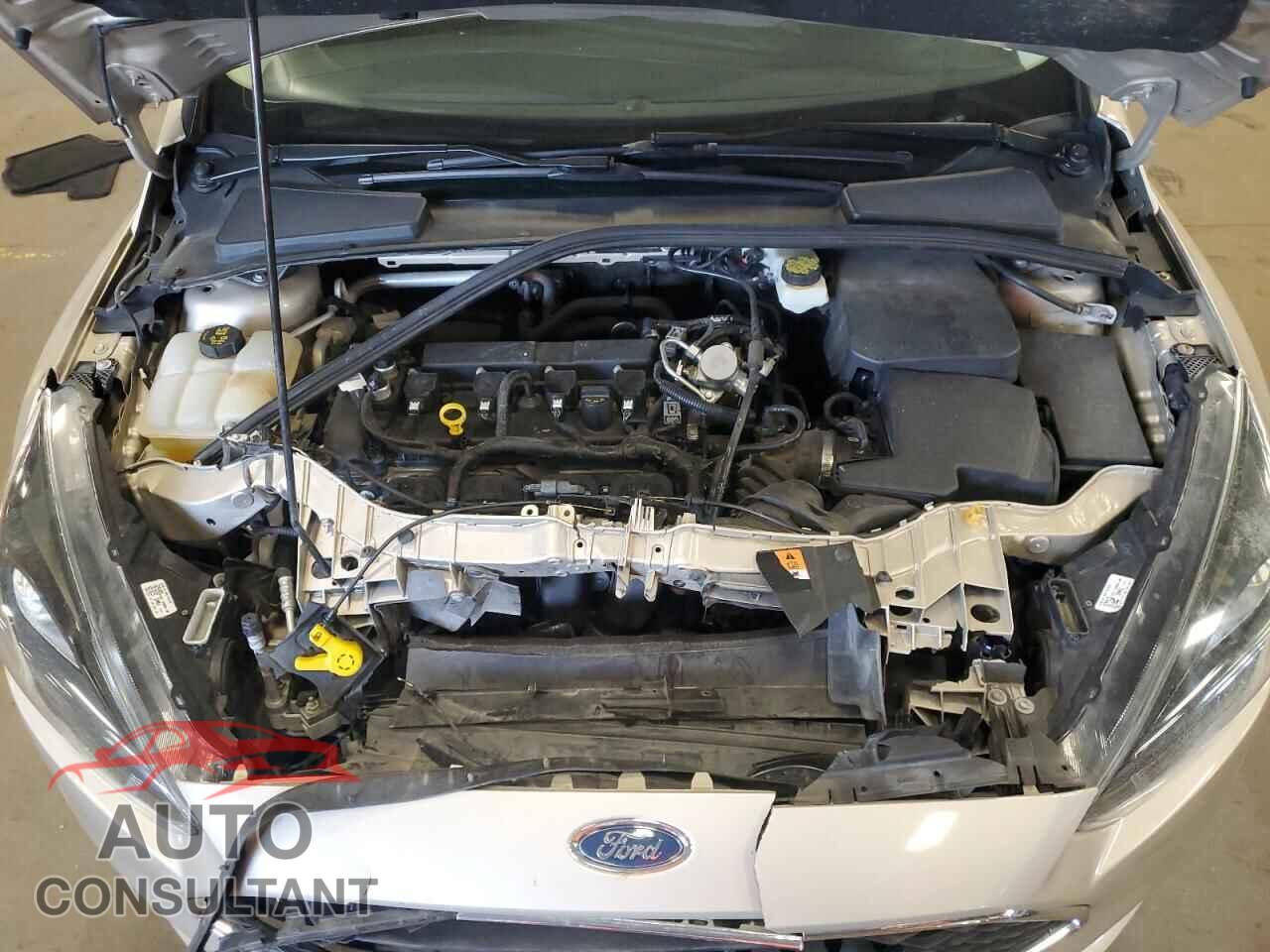 FORD FOCUS 2017 - 1FADP3M20HL309767