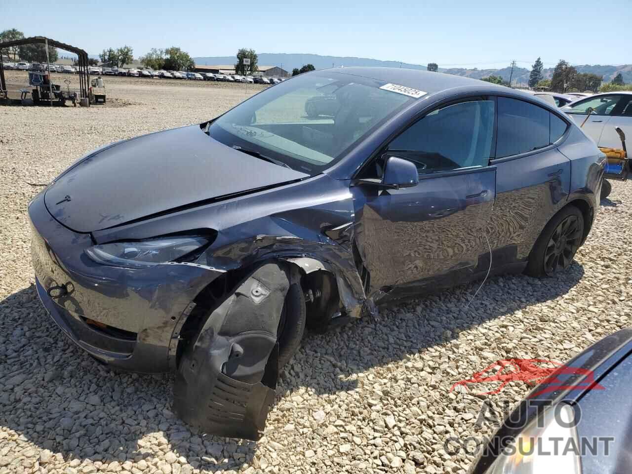TESLA MODEL Y 2022 - 7SAYGDEE0NF536436
