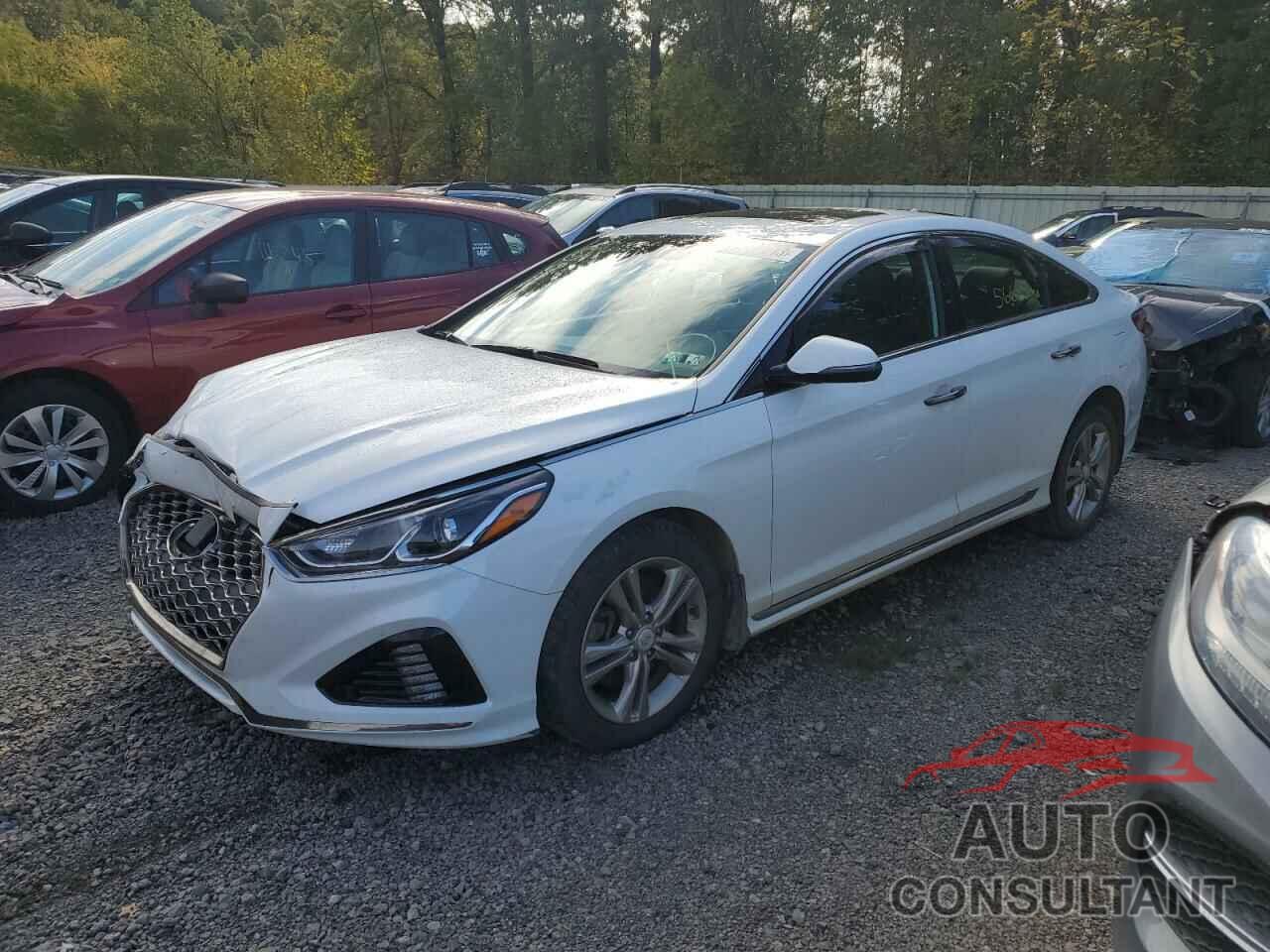HYUNDAI SONATA 2019 - 5NPE34AF8KH774929