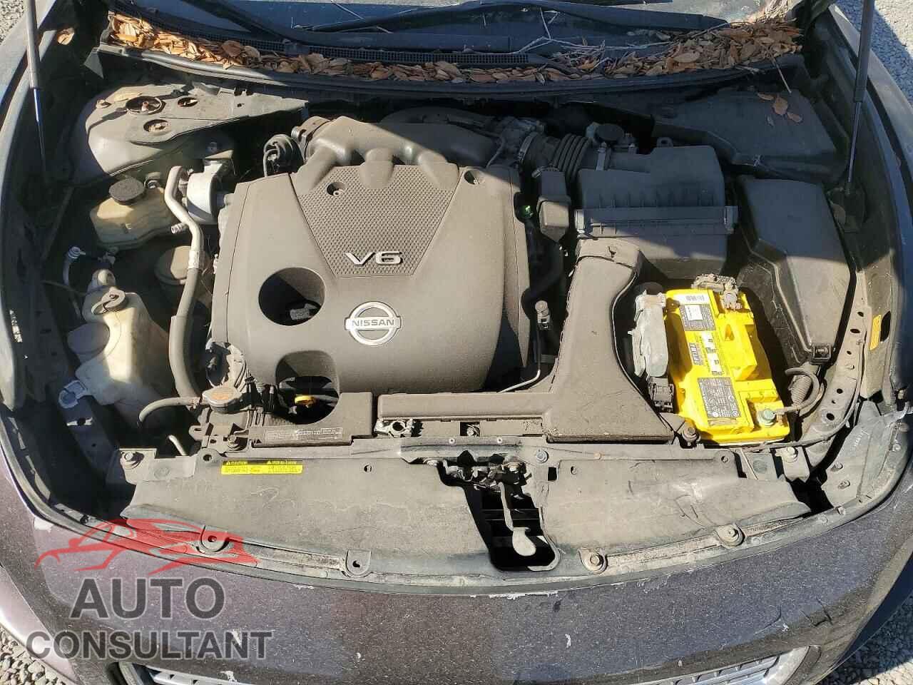 NISSAN MAXIMA 2010 - 1N4AA5AP9AC800781