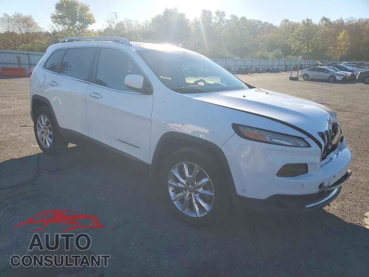 JEEP CHEROKEE 2014 - 1C4PJMDS5EW198075