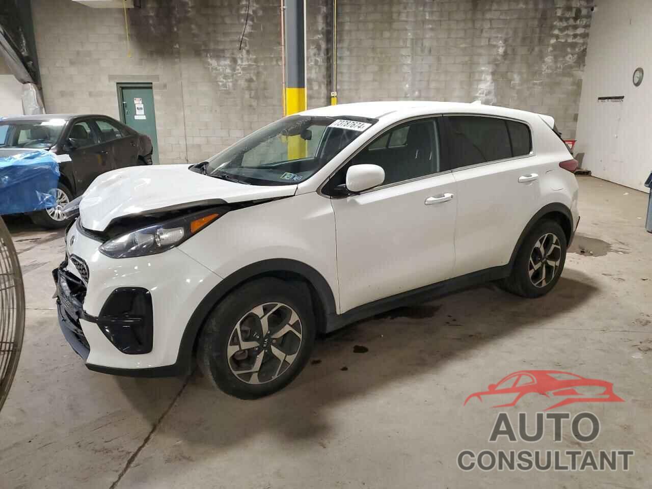 KIA SPORTAGE 2022 - KNDPM3AC1N7952341