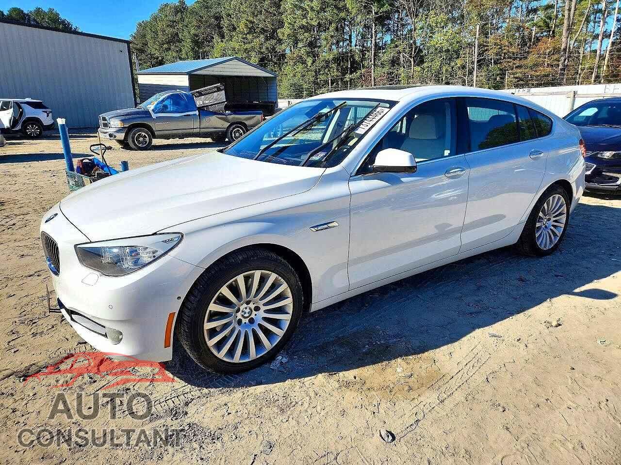 BMW 5 SERIES 2013 - WBASN2C57DC203031