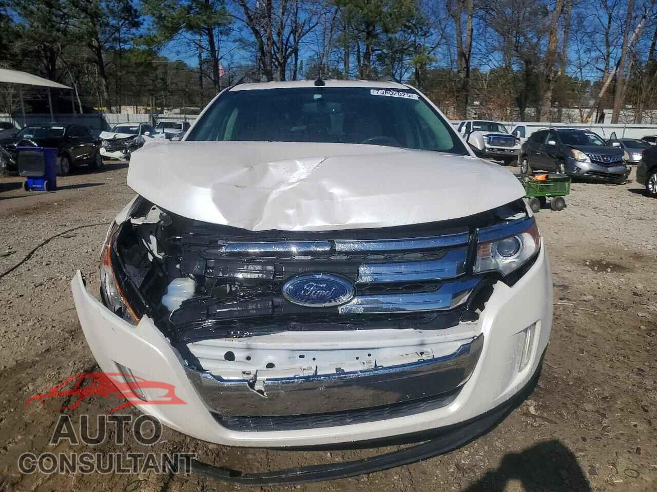 FORD EDGE 2013 - 2FMDK3JC8DBC69191