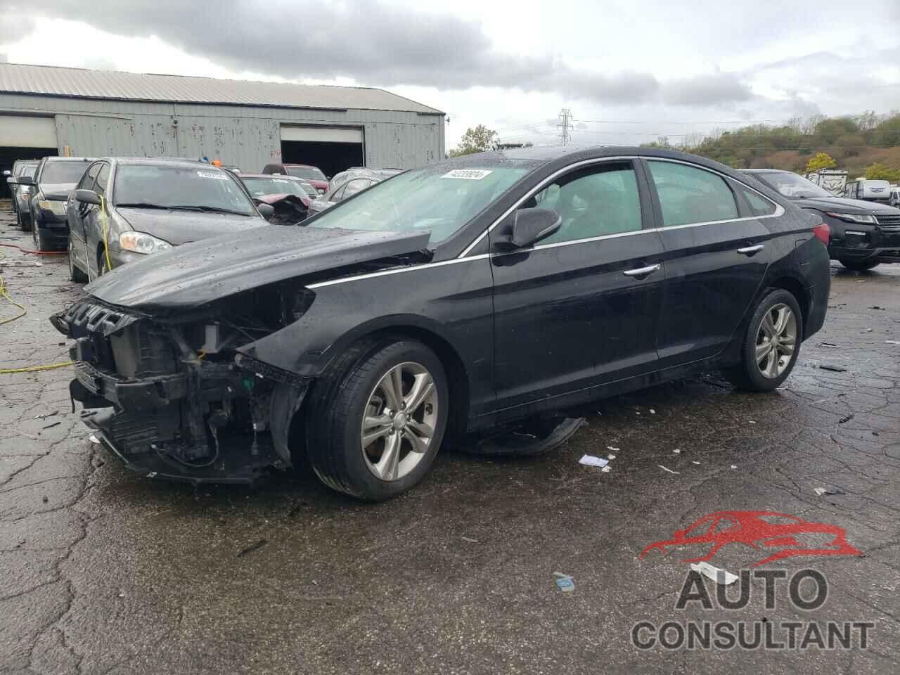 HYUNDAI SONATA 2019 - 5NPE34AF2KH769676