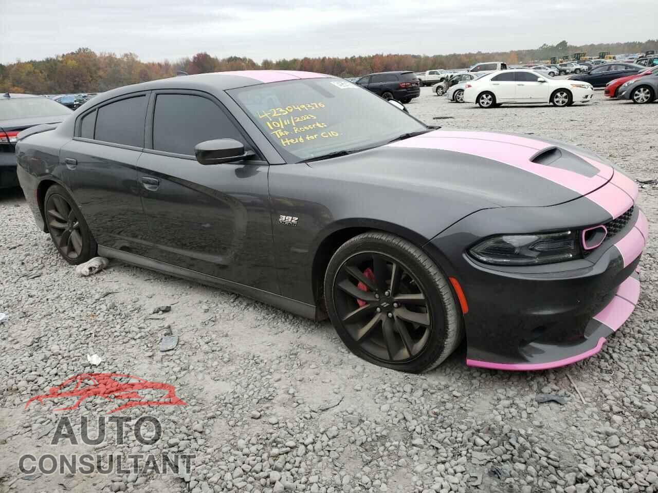 DODGE CHARGER 2019 - 2C3CDXGJ2KH756599