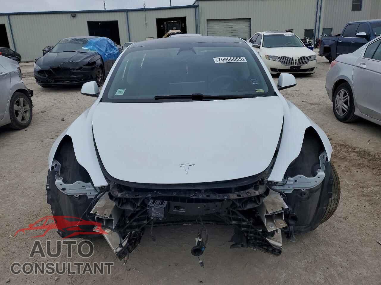 TESLA MODEL 3 2021 - 5YJ3E1EA2MF923173