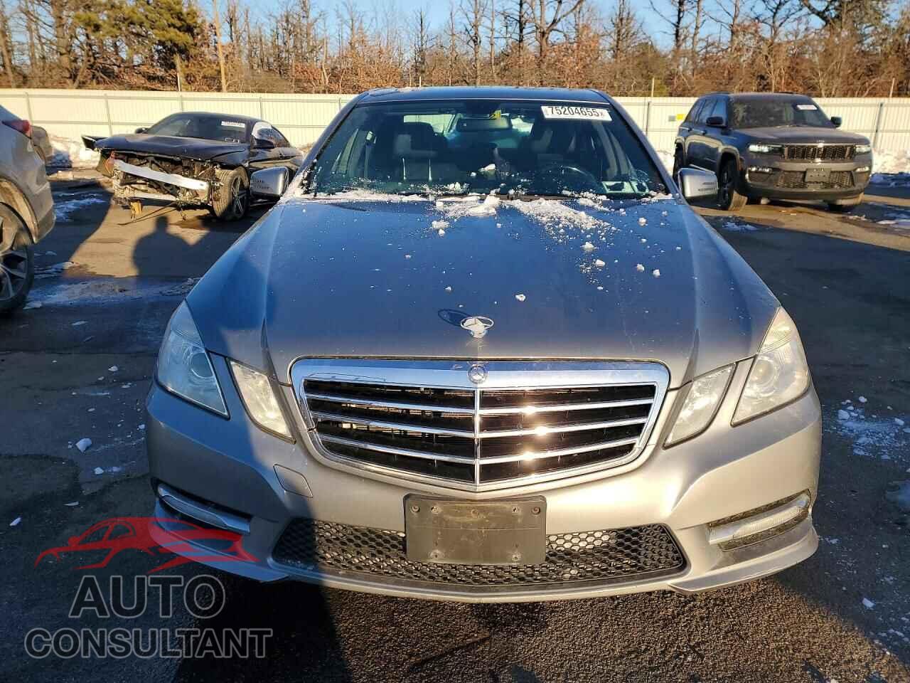 MERCEDES-BENZ E-CLASS 2012 - WDDHF8JB9CA608099