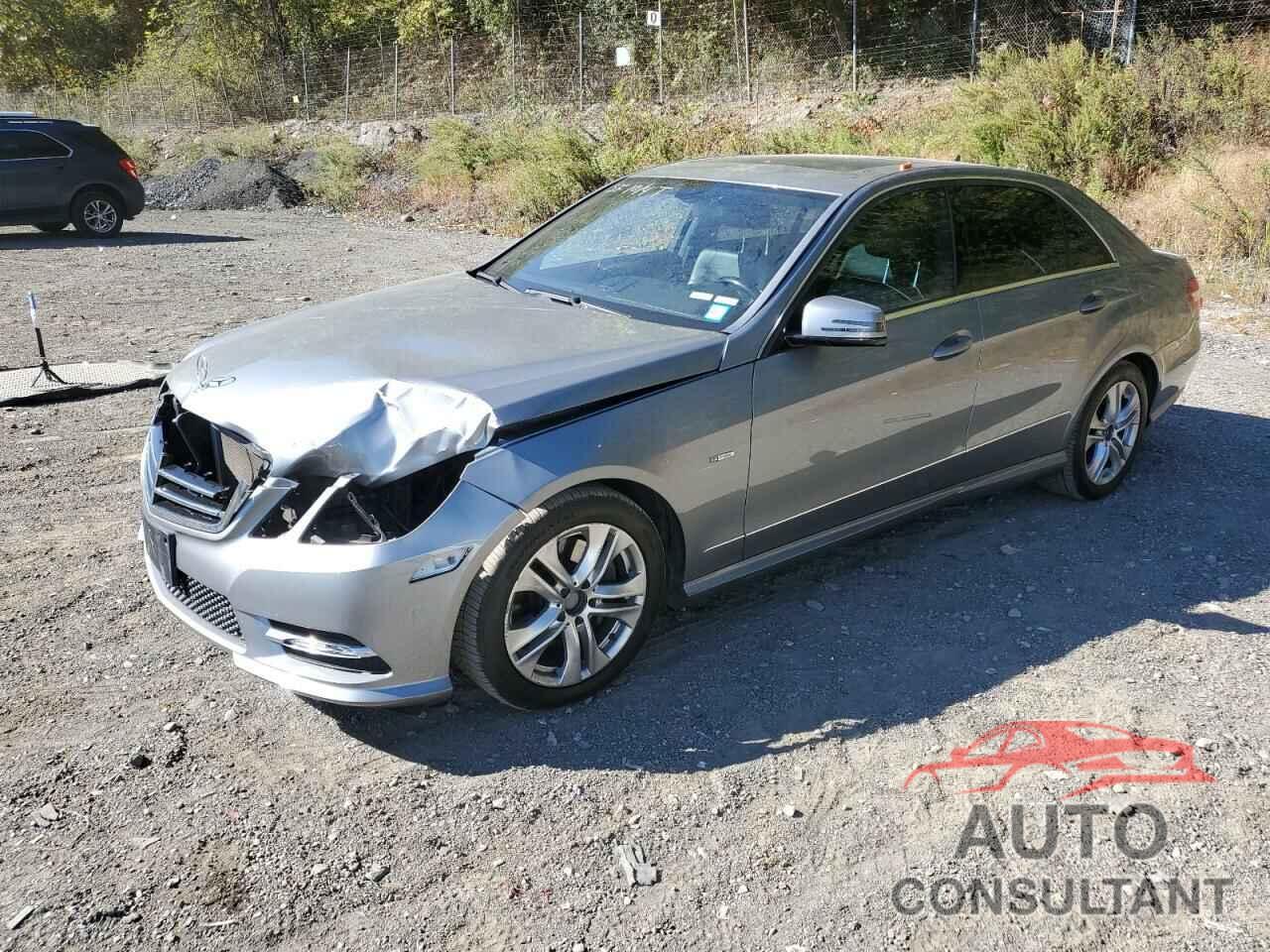 MERCEDES-BENZ E-CLASS 2012 - WDDHF8JB4CA655833