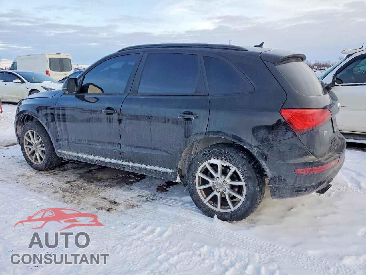 AUDI Q5 2013 - WA1CFCFP1DA036453
