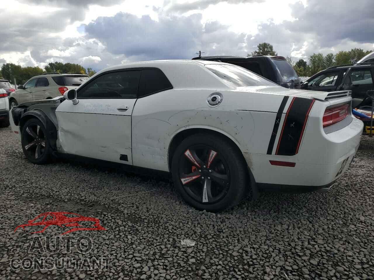 DODGE CHALLENGER 2013 - 2C3CDYAG7DH683431