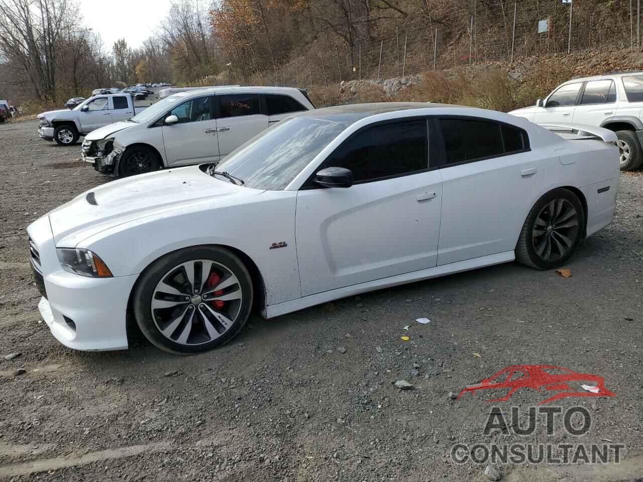 DODGE CHARGER 2013 - 2C3CDXEJ1DH527031
