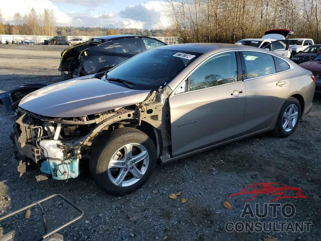 CHEVROLET MALIBU 2023 - 1G1ZD5ST7PF216461