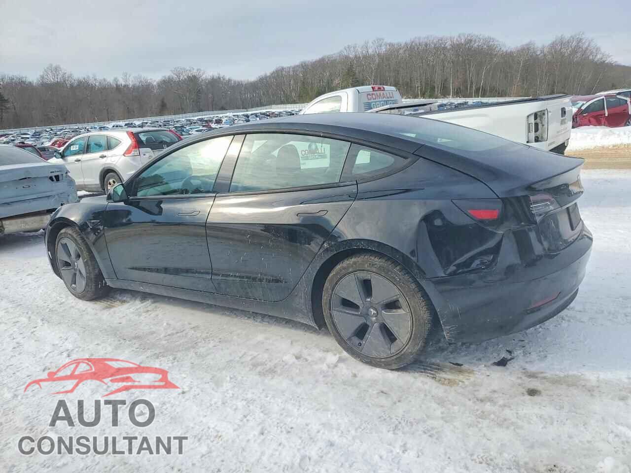 TESLA MODEL 3 2021 - 5YJ3E1EB9MF853079
