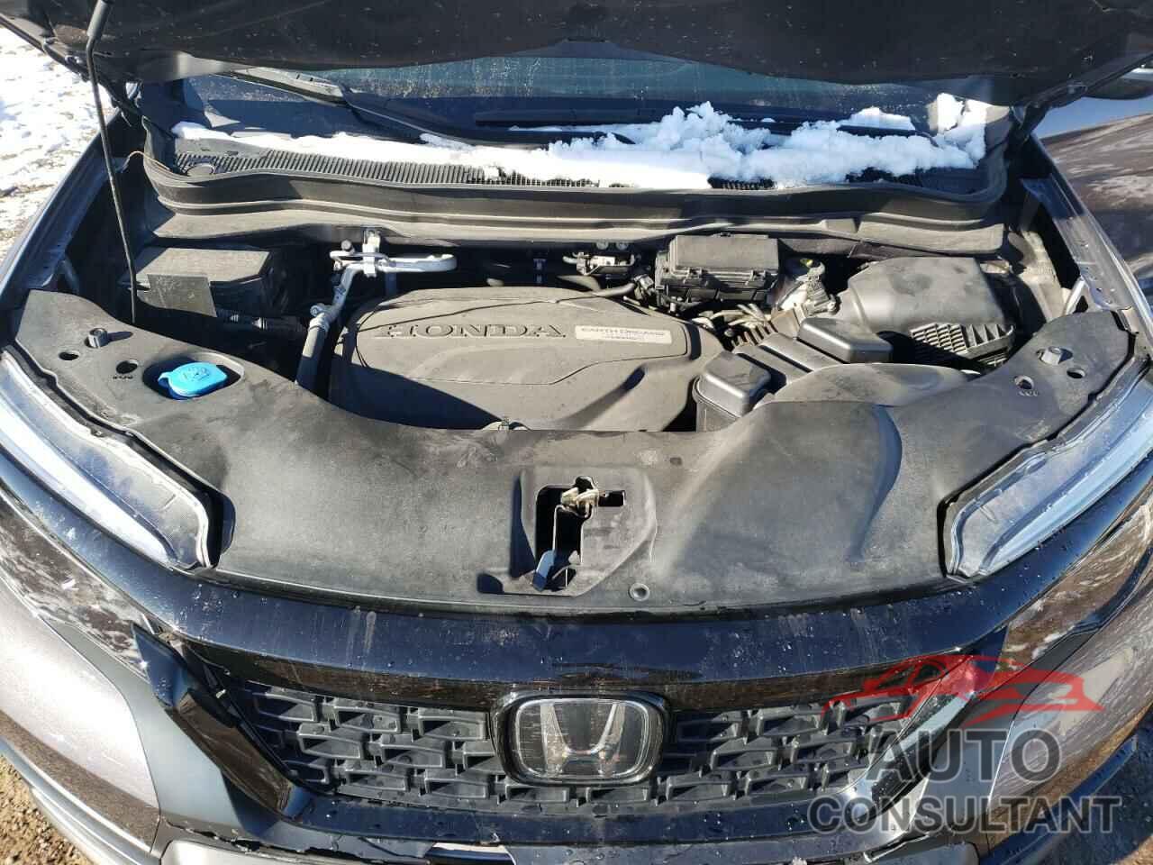 HONDA PASSPORT 2020 - 5FNYF8H53LB011838