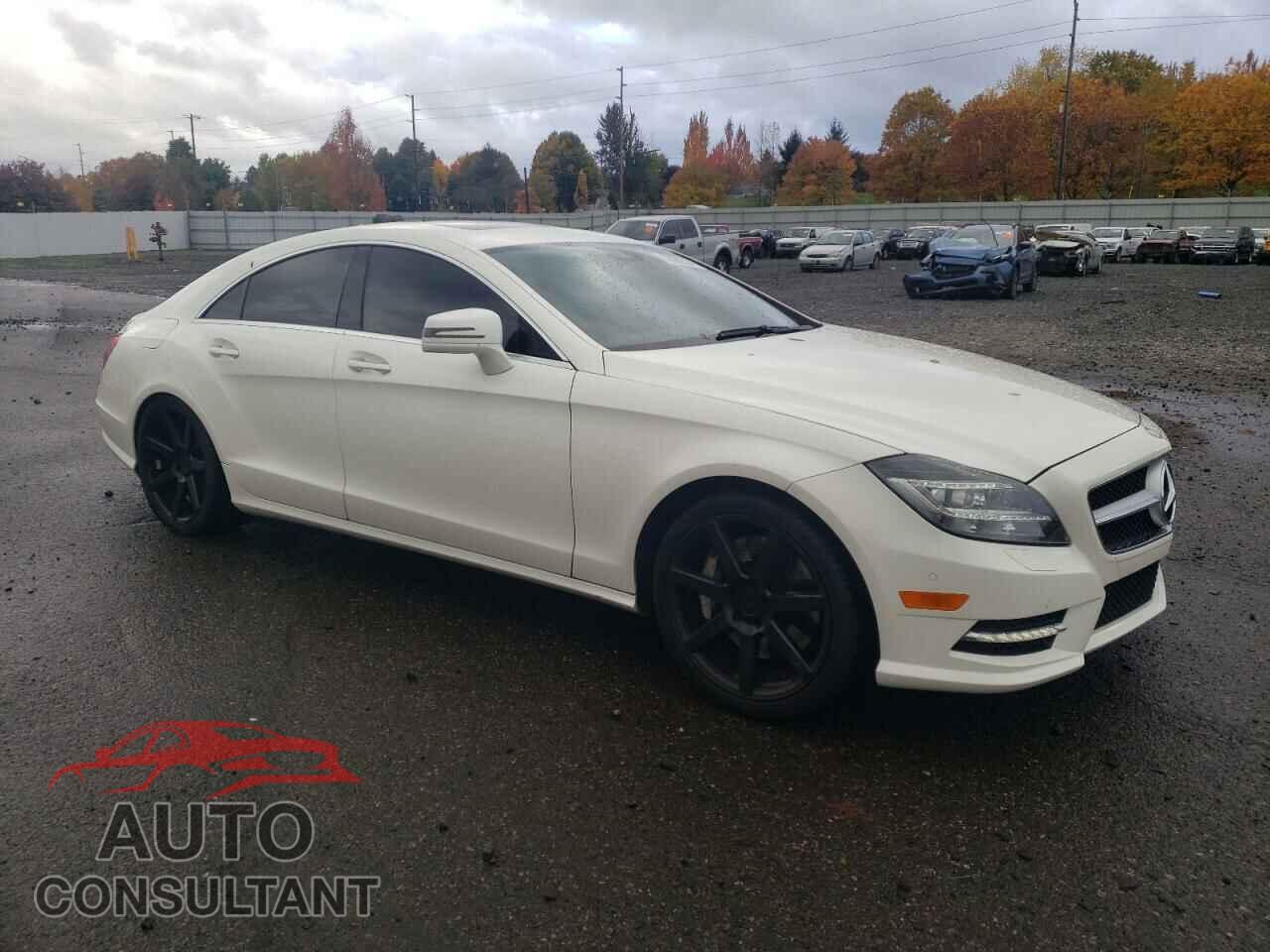 MERCEDES-BENZ CLS-CLASS 2013 - WDDLJ7DB3DA087297