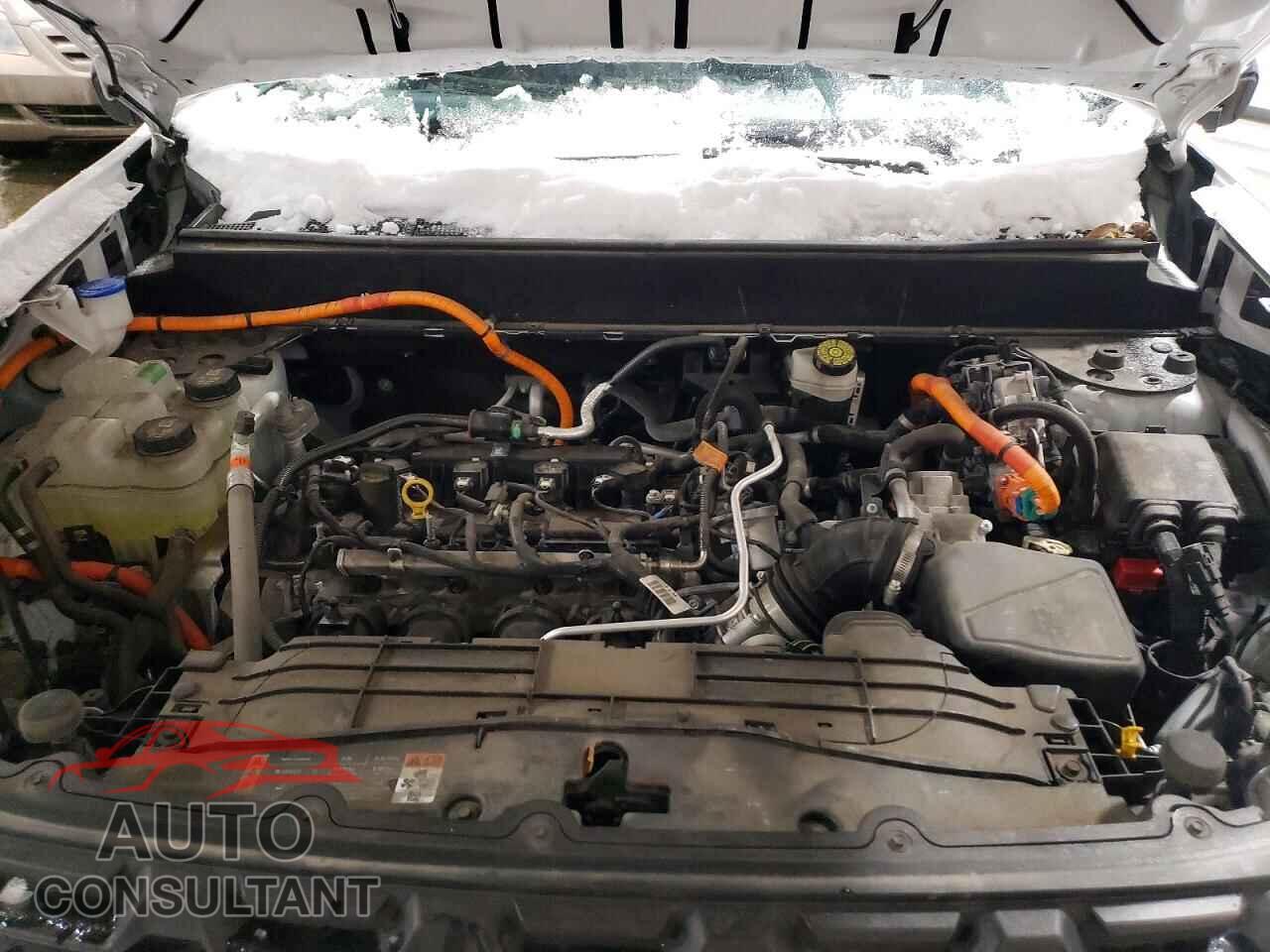 FORD MAVERICK 2024 - 3FTTW8A30RRA95112