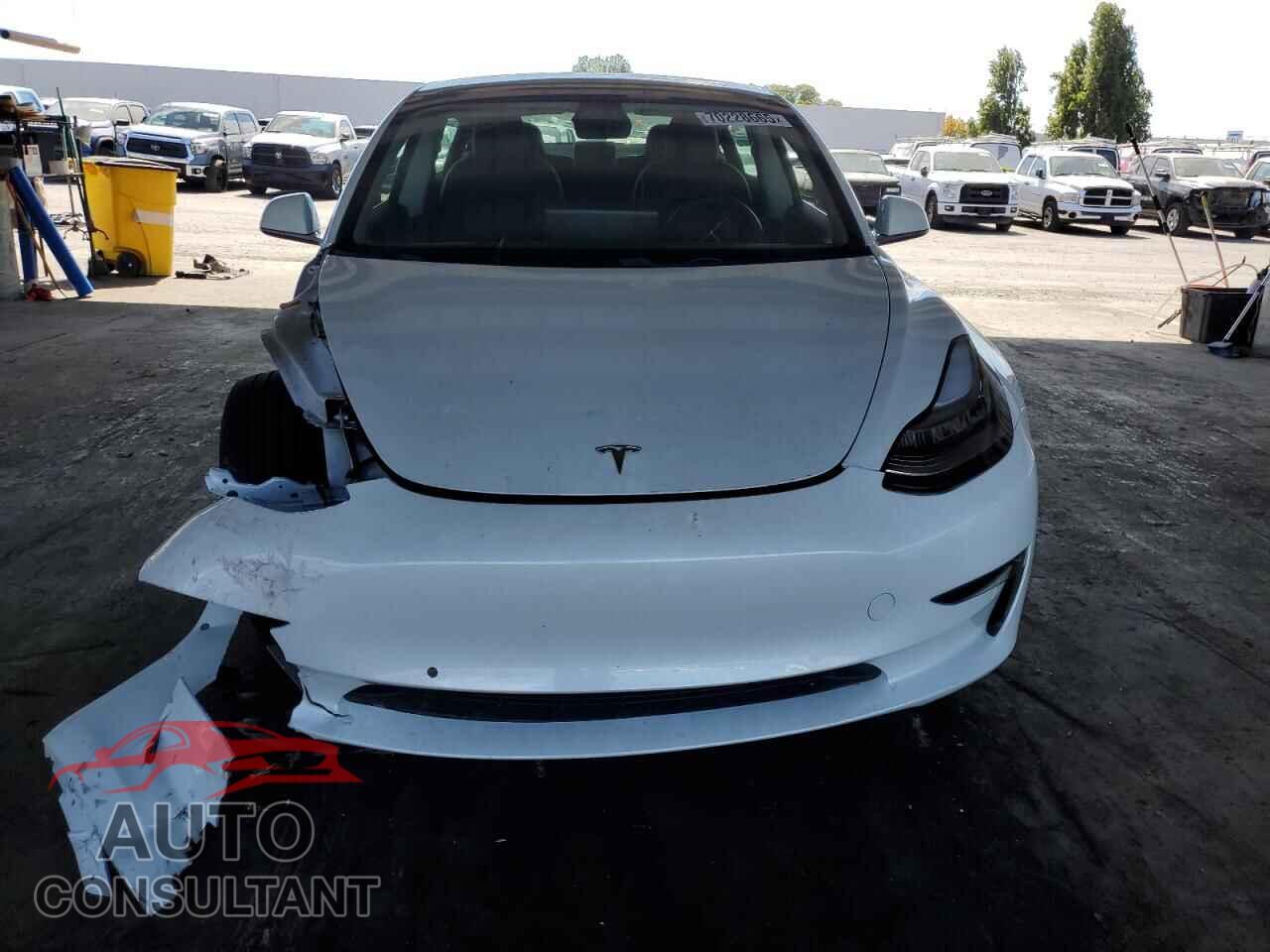 TESLA MODEL 3 2019 - 5YJ3E1EB1KF511154
