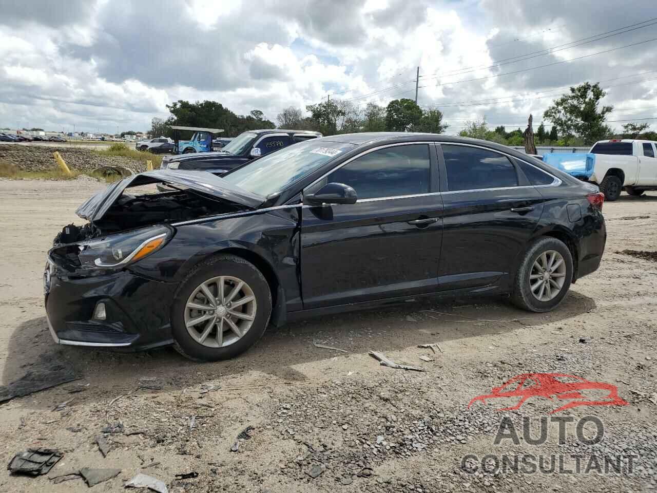 HYUNDAI SONATA 2019 - 5NPE24AF3KH754798