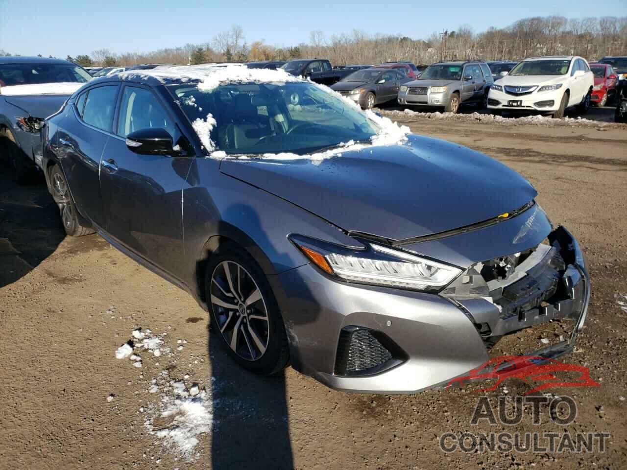 NISSAN MAXIMA 2019 - 1N4AA6AV8KC369503