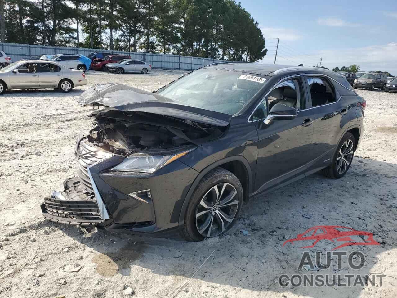 LEXUS RX450 2019 - 2T2BGMCA1KC033819
