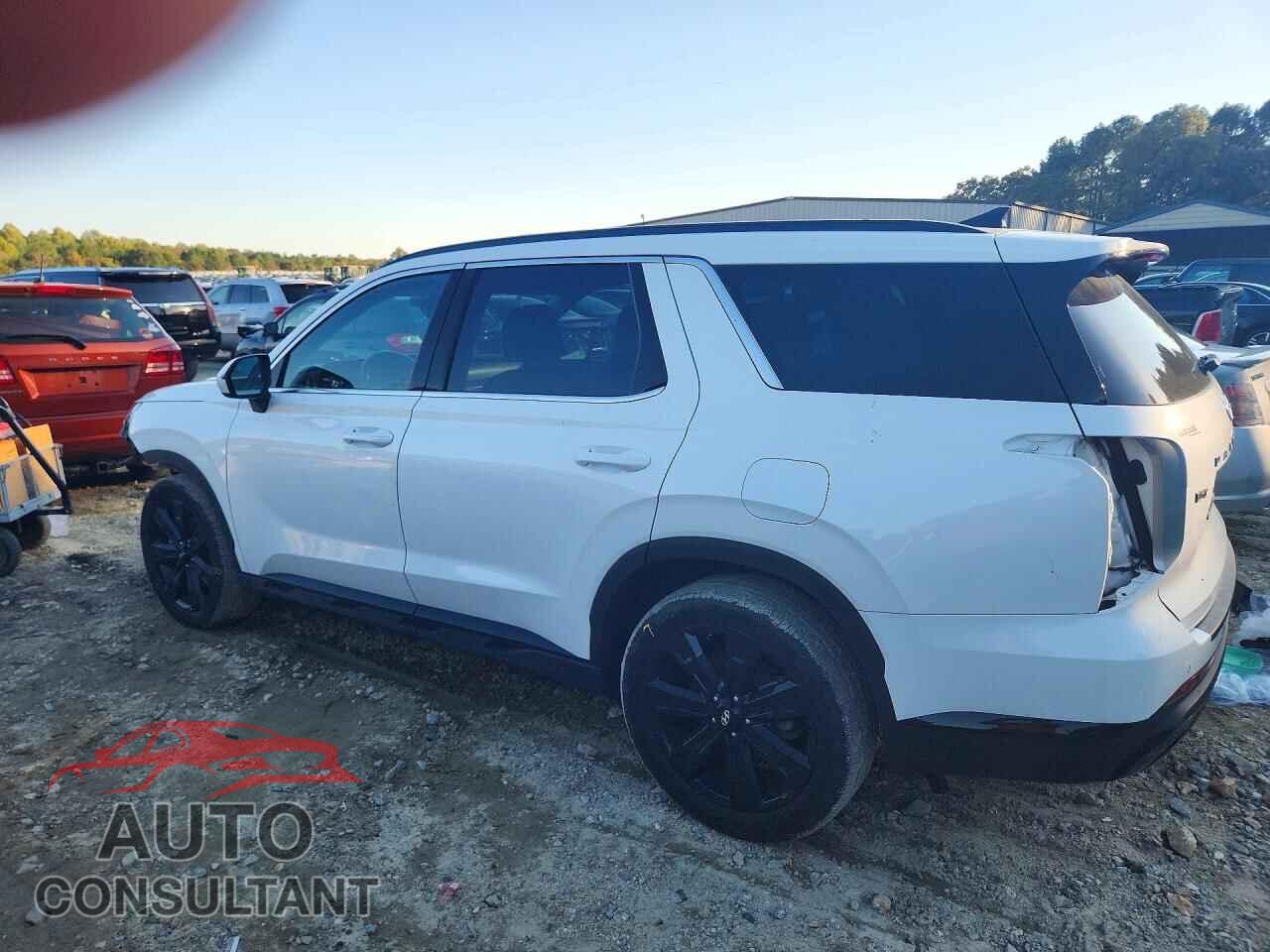 HYUNDAI PALISADE 2023 - KM8R3DGEXPU574191