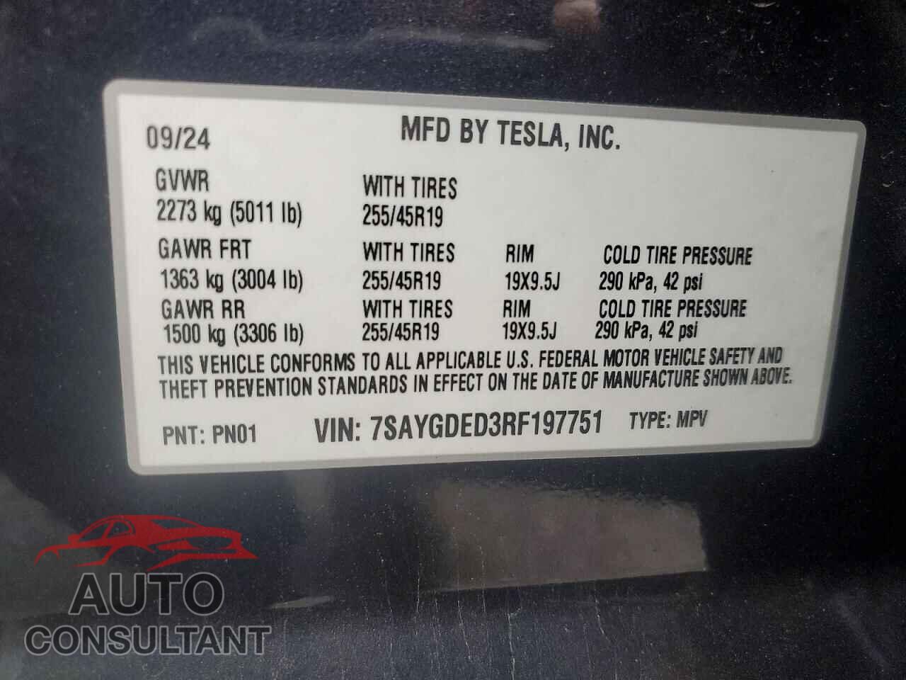 TESLA MODEL Y 2024 - 7SAYGDED3RF197751