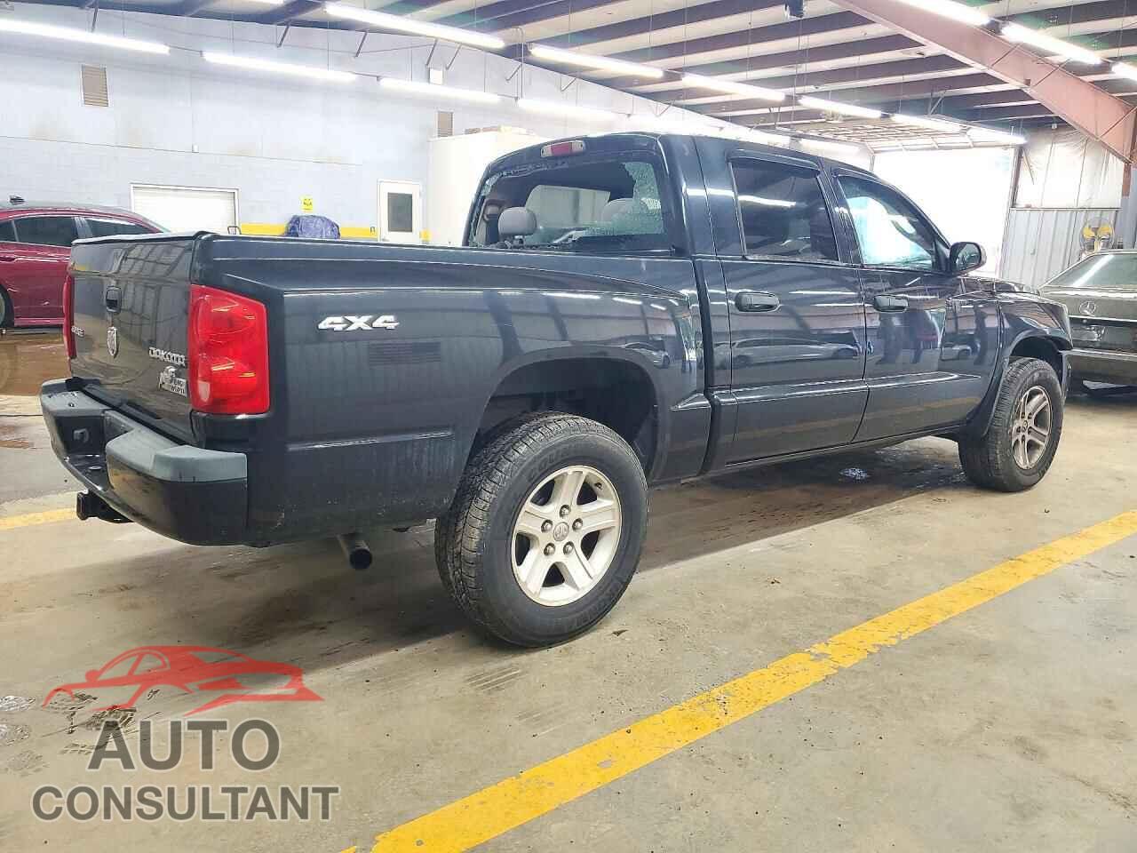 DODGE DAKOTA 2010 - 1D7CW3GK9AS212475