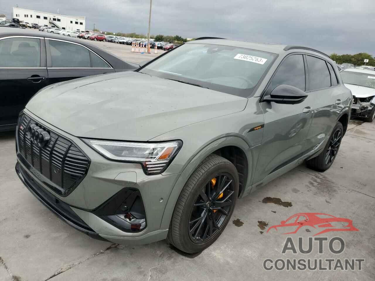 AUDI E-TRON CHR 2022 - WA1VABGE8NB024150