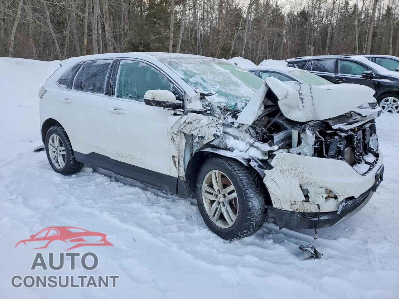 FORD EDGE 2015 - 2FMTK4J86FBB40155