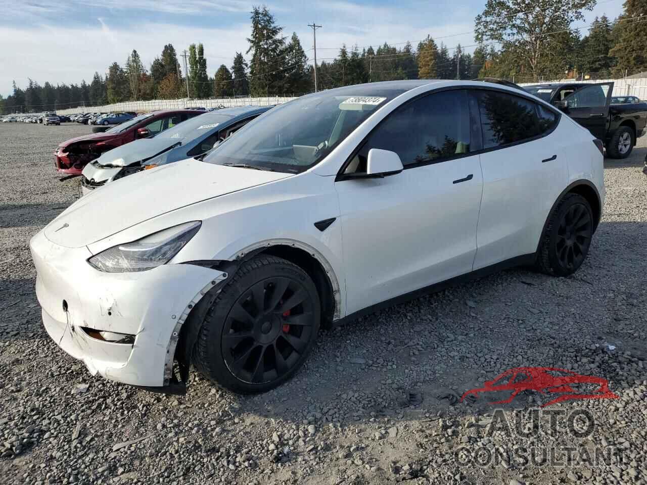 TESLA MODEL Y 2021 - 5YJYGDEE2MF213310