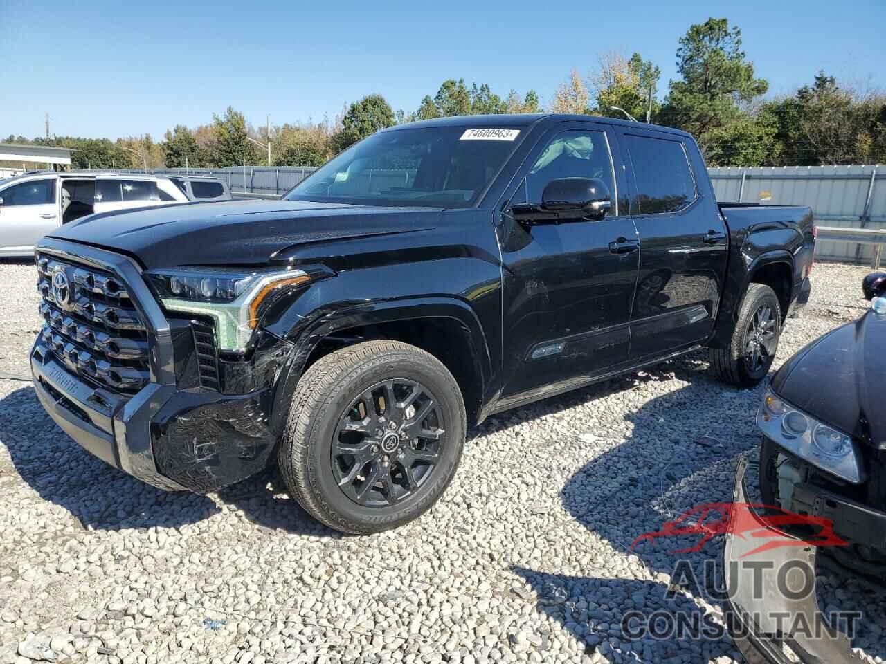 TOYOTA TUNDRA 2023 - 5TFNA5DB0PX122659