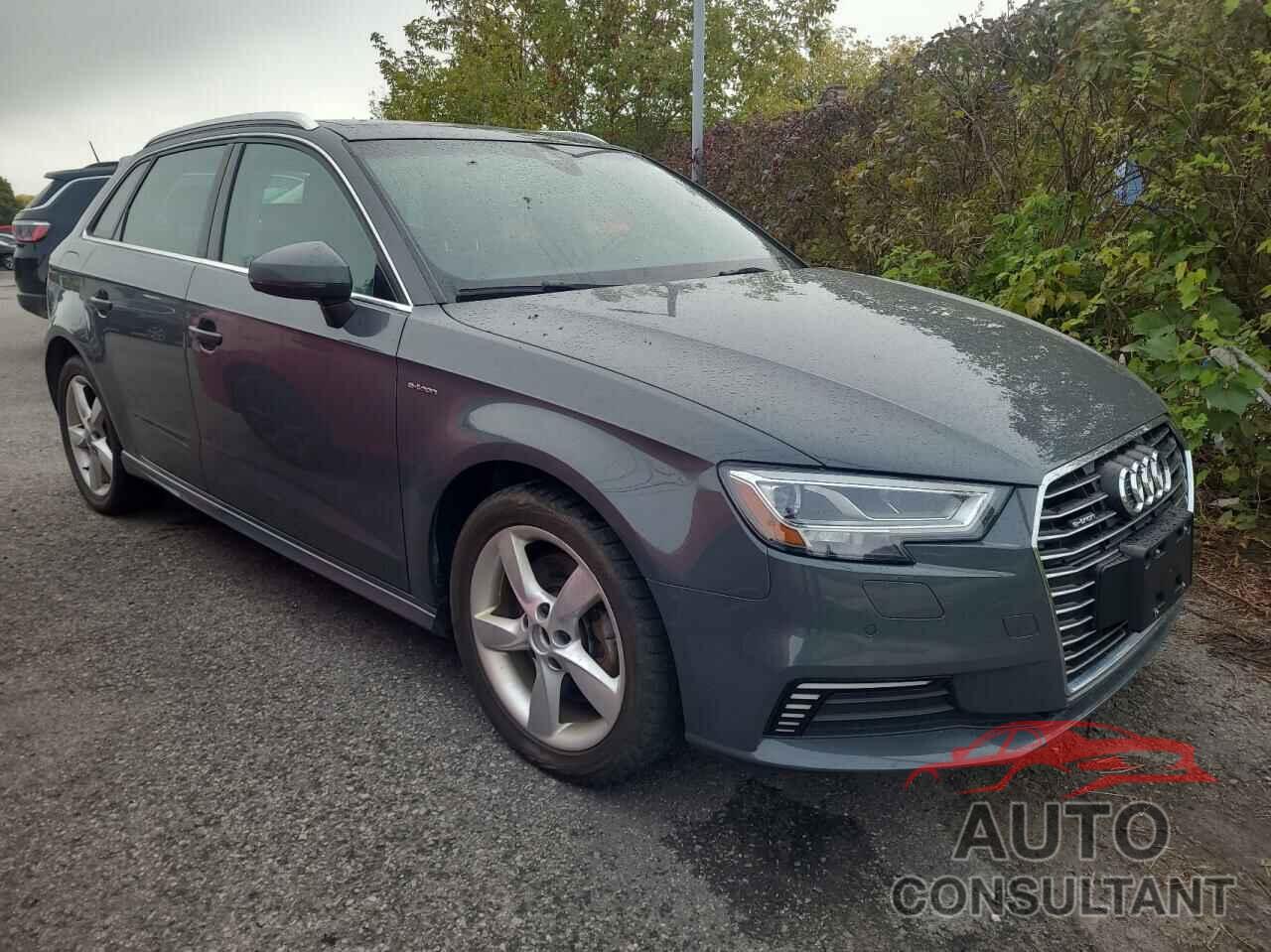 AUDI A3 2017 - WAUSPBFF0HA042585