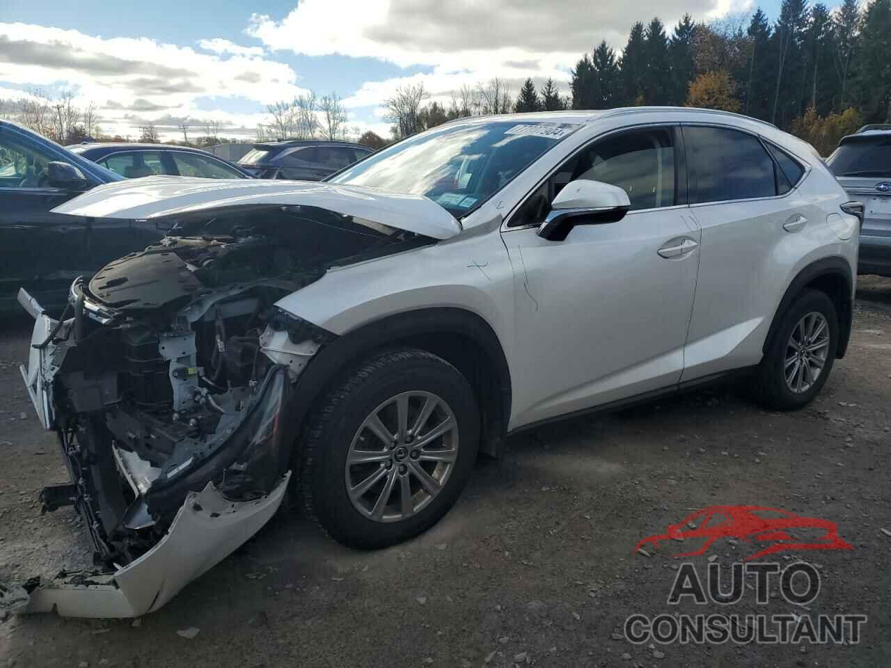 LEXUS NX 2021 - JTJDARDZ6M5024482