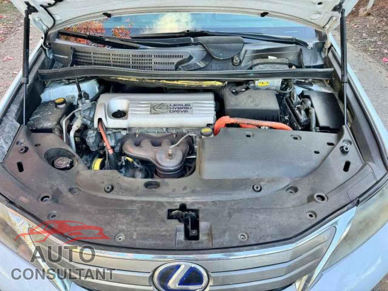 LEXUS HS 2010 - JTHBB1BA0A2007484