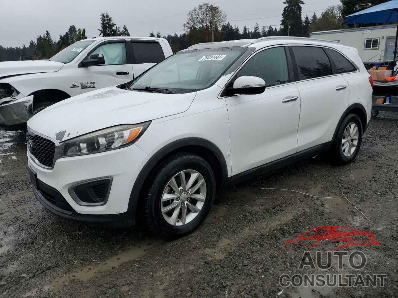 KIA SORENTO 2016 - 5XYPG4A36GG121873